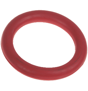Ring dog toy