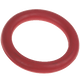 Ring dog toy