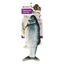 Electronic fish cat toy with moving tail