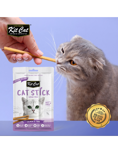 Cat Treat Stick Kit Cat Cat Stick Chicken and Wild Berries 15 g