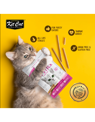 Cat Treat Stick Kit Cat Cat Stick Salmon and Seafood 15 g