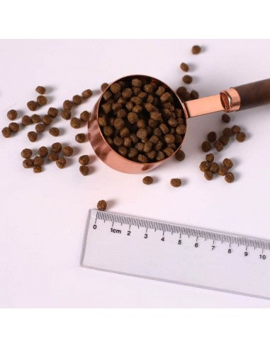 Kit Cat No Grain Chicken & Turkey Dry Cat Food, 1 kg