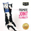 Cat Treats Kit Cat PurrPuree Plus Chicken Joint 60 g