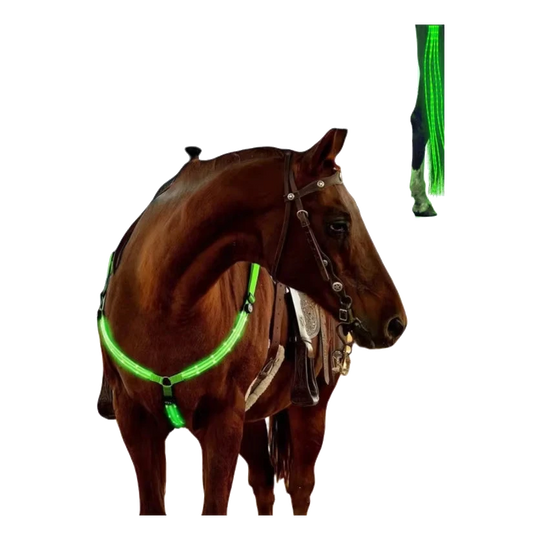 Horse wearing a green LED light kit on the breastplate and legs