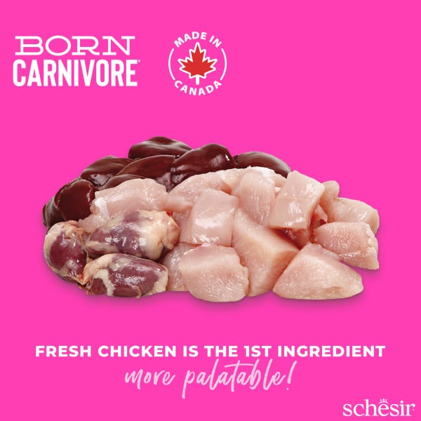 Schesir Born Carnivore chicken with egg dry kitten food, 255 g – image 2