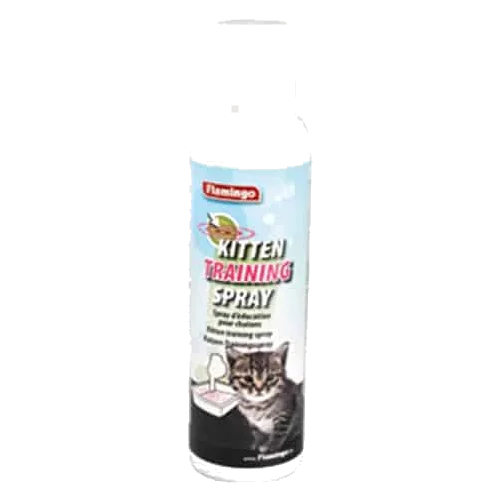 Kitten Trainer cat toy