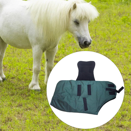 Waterproof breathable rain sheet for horses