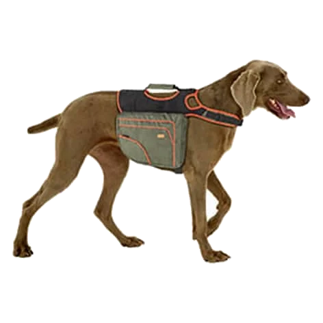 Multifunction dog carrier backpack, size L