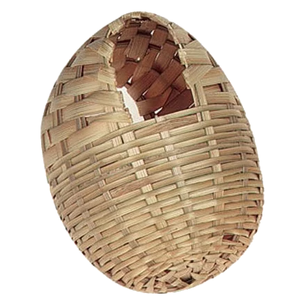 Large exotic cane bird nest