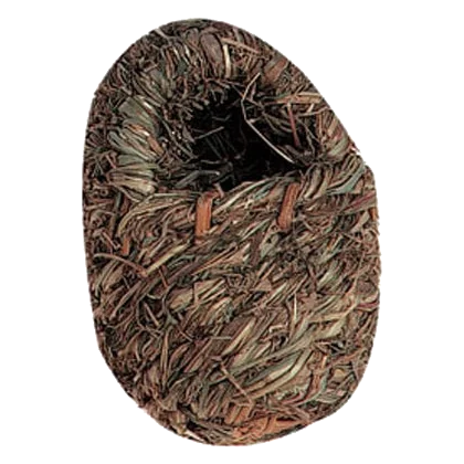 Small exotic straw bird nest