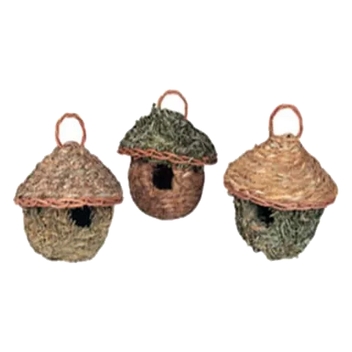 Tropical bird nests