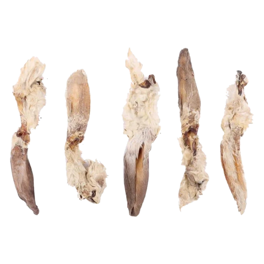 Rabbit ears with fur natural dog treats, bag of 5