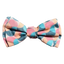 FuzzYard Carioca Dog Bow Tie with Velcro