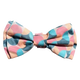 FuzzYard Carioca Dog Bow Tie with Velcro