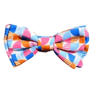 FuzzYard Fresh Zest Dog Bow Tie with Velcro