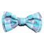 FuzzYard Mint Fizz Dog Bow Tie with Velcro