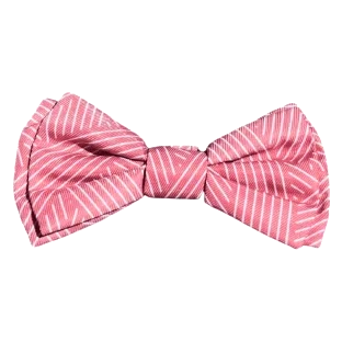 Dog bow tie FuzzYard Thornbury Brick Red with hook and loop strap