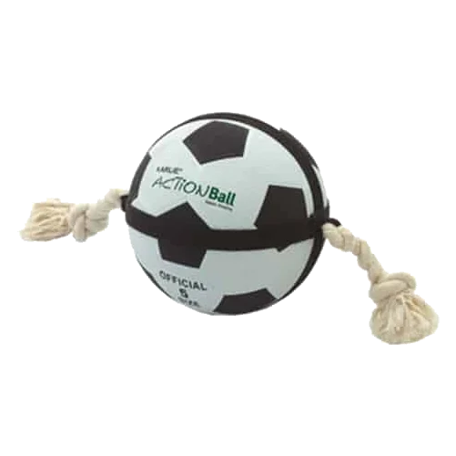 Actionbal Dog Ball, 19 or 22 cm
