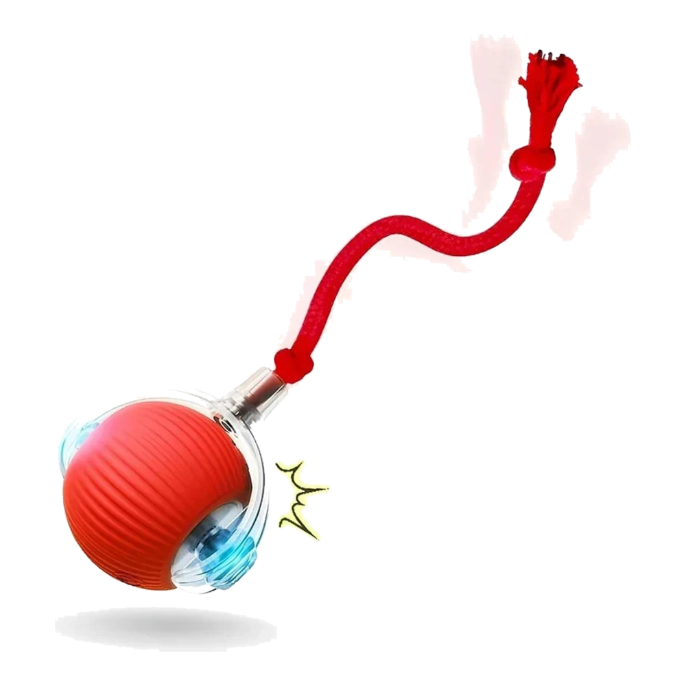 Red automatic cat ball with tail
