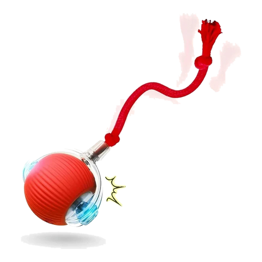 Red automatic cat ball with tail