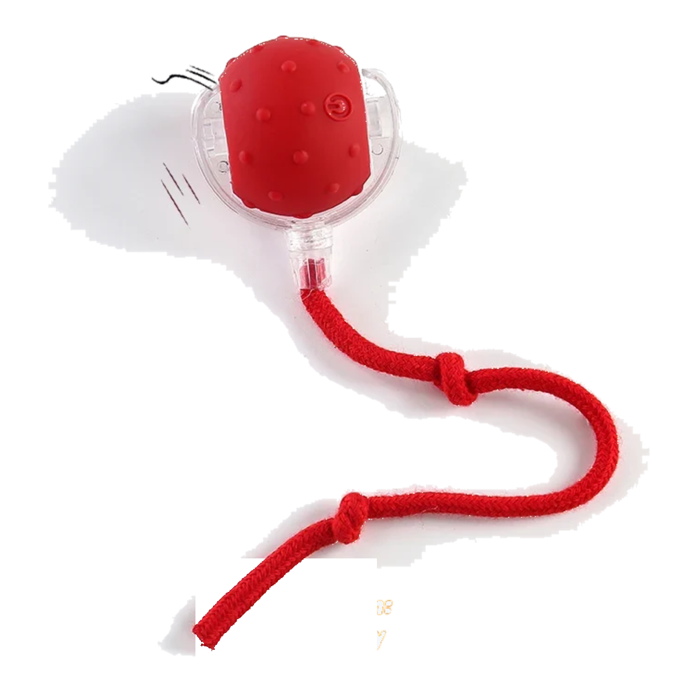 Red automatic cat ball with sound and string