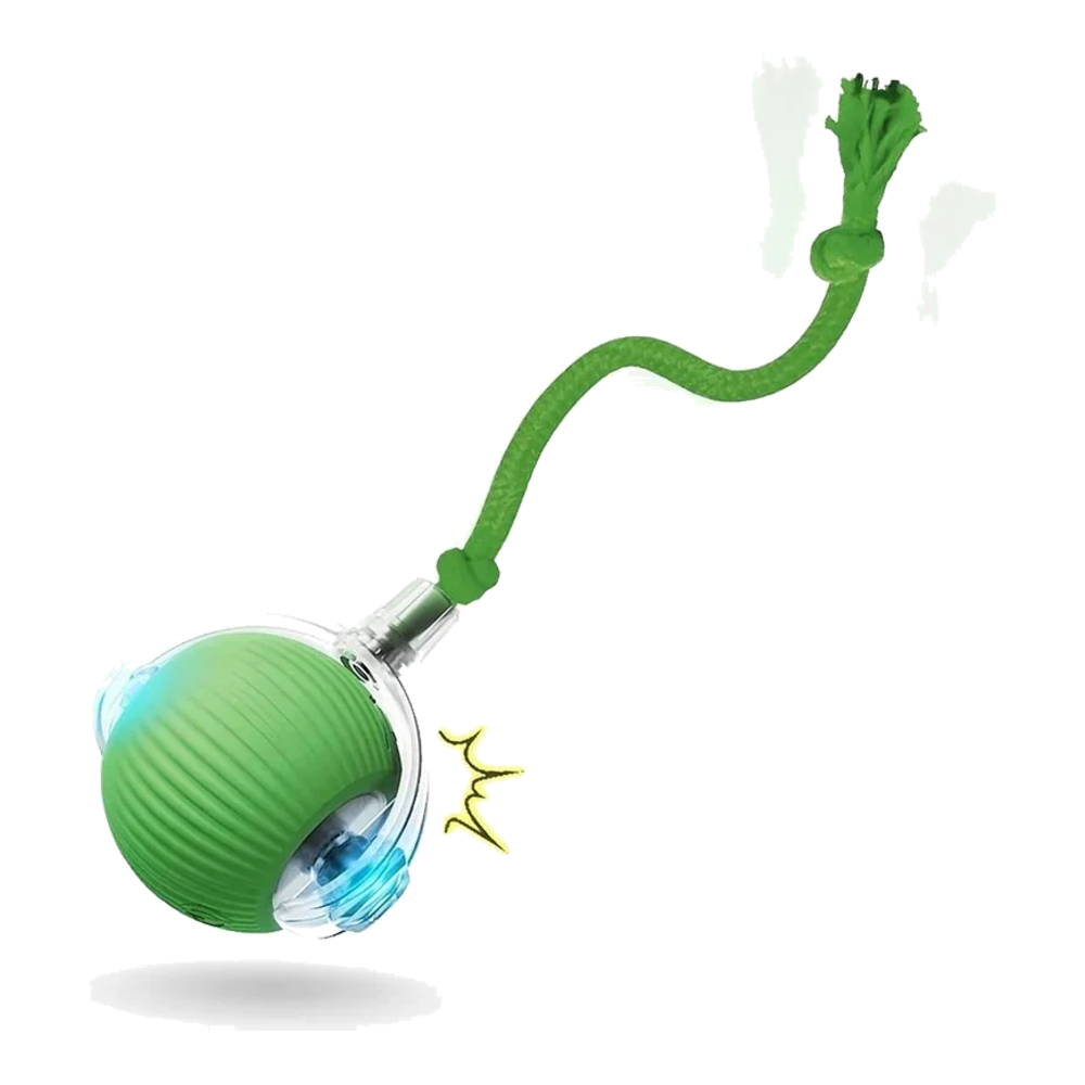 Green automatic cat ball with tail