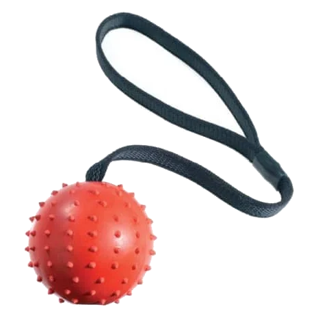 Classic Pimple Ball & Rope Dog Toy, 70 mm