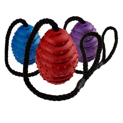 Classic Oval Rubber Ball on a Rope Dog Toy