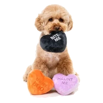 Halloween plush dog toy FuzzYard Spooky Candy Hearts, pack of 3
