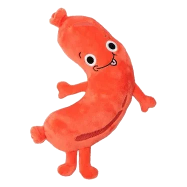FuzzYard Meat Heads Brad Wurst Plush Dog Toy with Squeaker