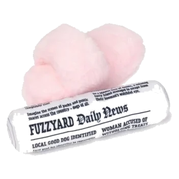 FuzzYard slippers and newspaper plush dog toys, pack of 2
