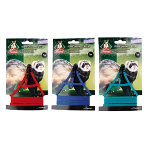 Harness and lead set for small animals