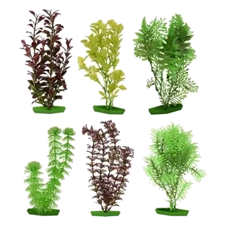 Assorted medium aquarium plant, 20 cm