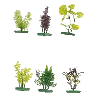 Assorted small aquarium plants, 10 cm, 6 pieces
