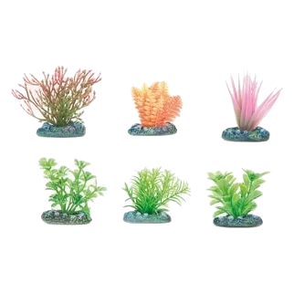 Assorted small aquarium plants, 5 cm, 6 pieces