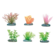 Assorted small aquarium plants, 5 cm, 6 pieces