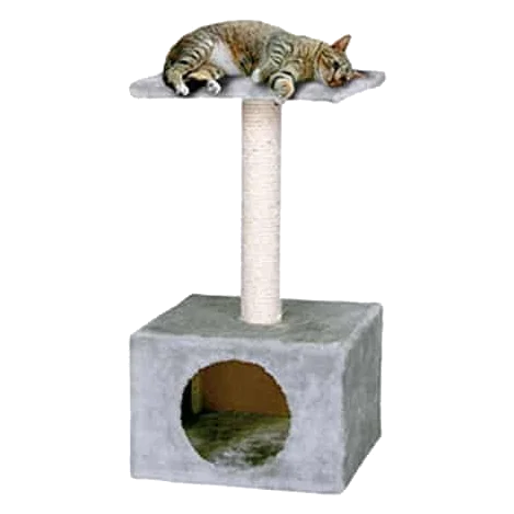 Grey cat scratching post
