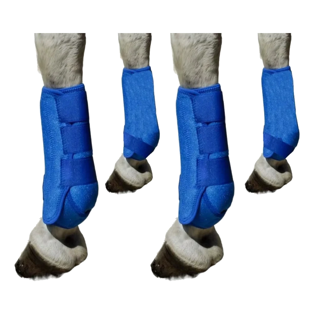 Set of 4 blue horse tendon boots