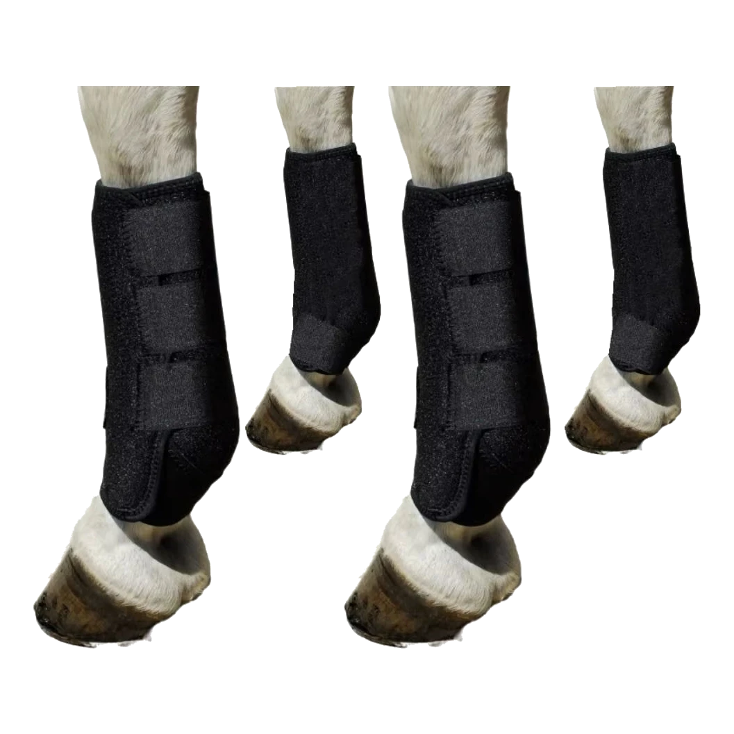Set of 4 black horse tendon boots