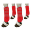Set of 4 red horse tendon boots