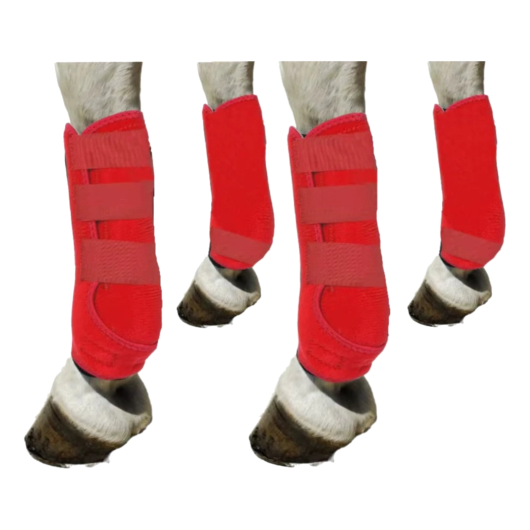 Set of 4 red horse tendon boots