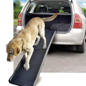 Gentle Step dog ramp