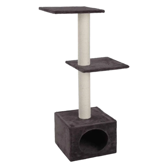 Chairmine grey cat scratching tree