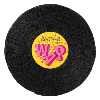Rotating Cat Scratcher FuzzYard Record Cat Catty-B