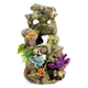 Rocks and plants aquarium ornament