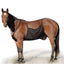 Breathable mesh fly rug for horses – view 2