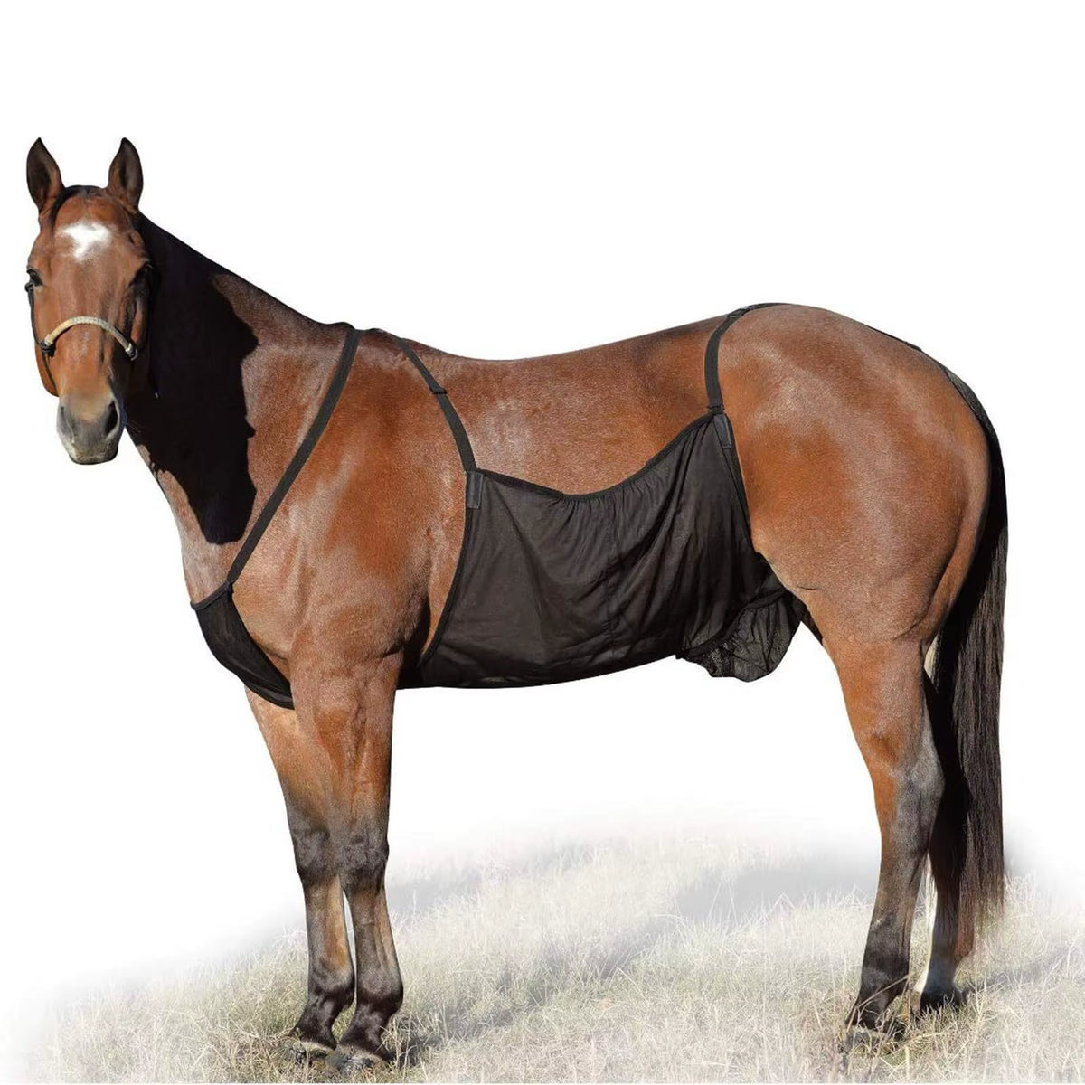 Breathable mesh fly rug for horses – view 2