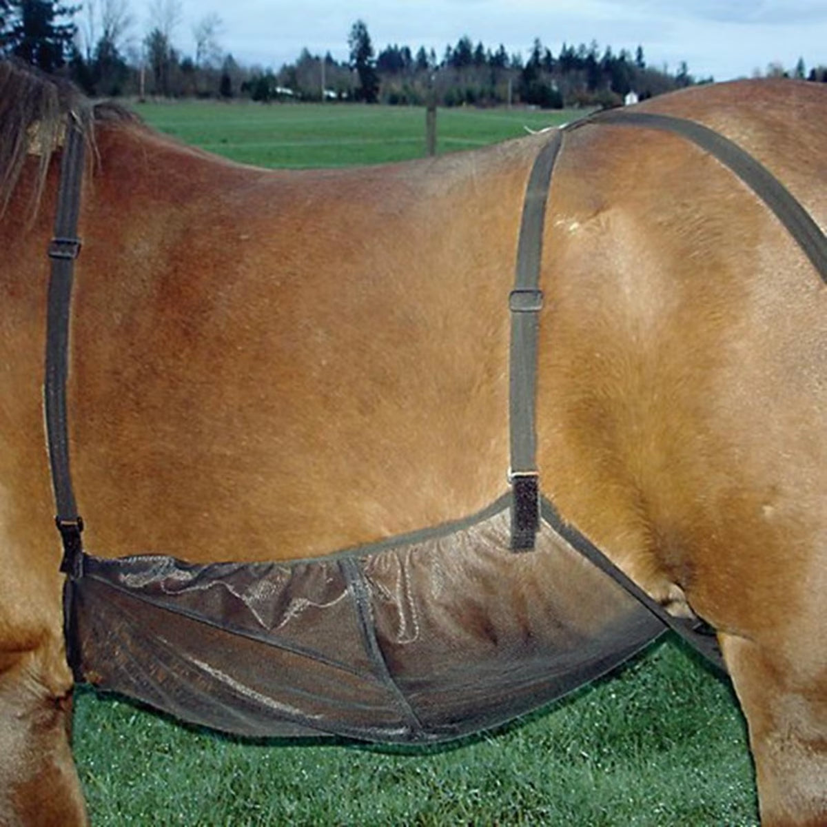 Breathable mesh fly rug for horses – view 3