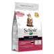 Schesir Maintenance ham dry cat food, 400 g