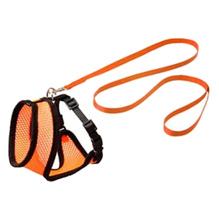 Kitten harness and lead set, orange and black, 110 cm, 10 mm, size S